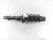 Front shock absorber with coil spring