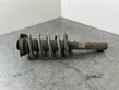 Front shock absorber with coil spring