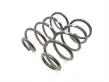 Rear coil spring