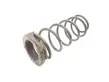 Rear coil spring