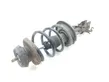 Front shock absorber with coil spring