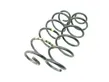 Rear coil spring