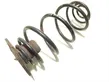 Rear coil spring