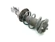 Front shock absorber with coil spring