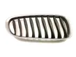 Front bumper upper radiator grill