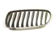 Front bumper upper radiator grill