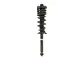 Rear shock absorber with coil spring