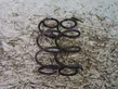 Rear coil spring