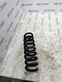 Rear coil spring