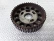 Fuel pump gear (pulley)