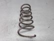 Front coil spring