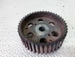 Fuel pump gear (pulley)