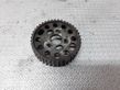 Fuel pump gear (pulley)