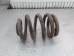 Rear coil spring