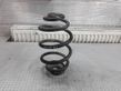 Rear coil spring