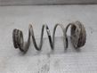 Rear coil spring