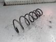 Rear coil spring