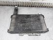 Intercooler radiator