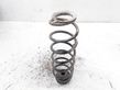 Rear coil spring