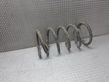 Rear coil spring