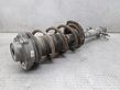 Front shock absorber with coil spring