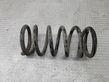 Rear coil spring