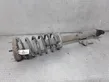 Front shock absorber with coil spring