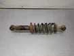 Rear shock absorber with coil spring