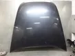 Engine bonnet/hood