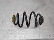 Rear coil spring