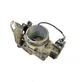 Throttle body valve