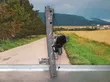 Fensterheber elektrisch mit Motor Tür vorne