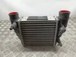 Radiador intercooler