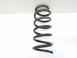 Front coil spring