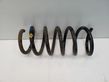 Front coil spring