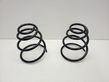 Front coil spring