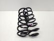 Rear coil spring