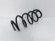 Rear coil spring