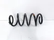 Front coil spring