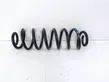 Rear coil spring