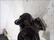 Démarreur   12417638192