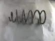 Rear coil spring