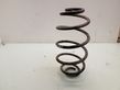 Rear coil spring