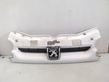 Front bumper upper radiator grill