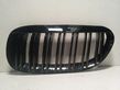 Front bumper lower grill