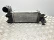 Radiatore intercooler