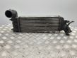 Intercooler radiator