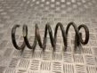 Rear coil spring