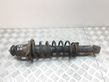 Rear shock absorber with coil spring