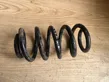 Front coil spring